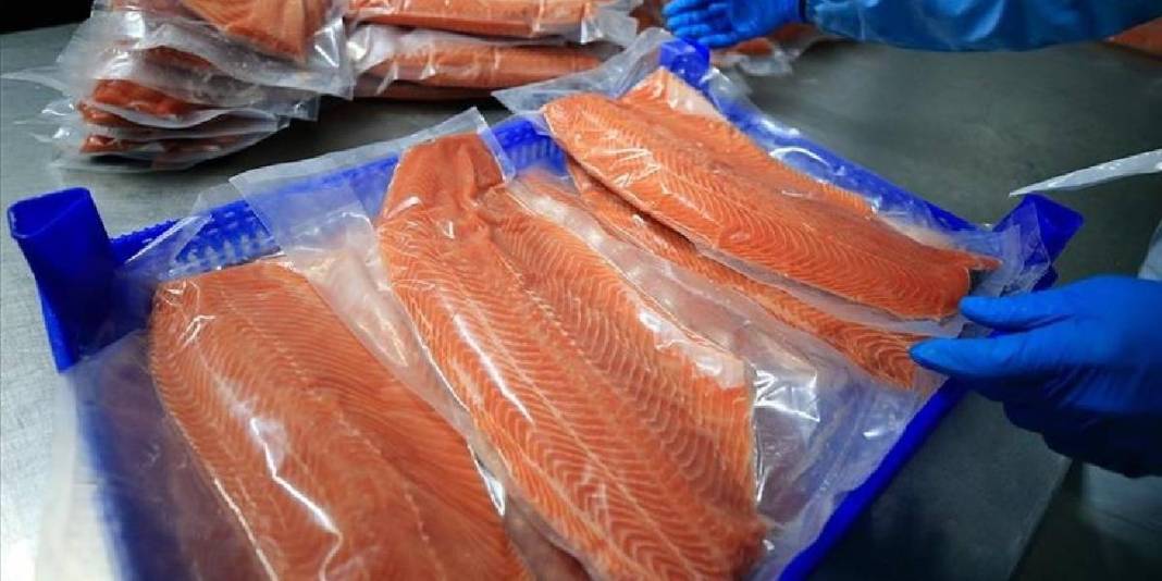 Türk denizlerinden dünya sofralarına! İhracatta büyük artış: Kazancı 369 milyon dolara yaklaştı 4